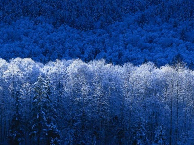 Image:400px-Zima.jpg